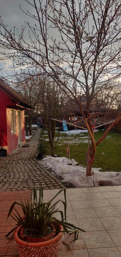 Casa Terzea Hotel Rîşnov Eksteriør billede