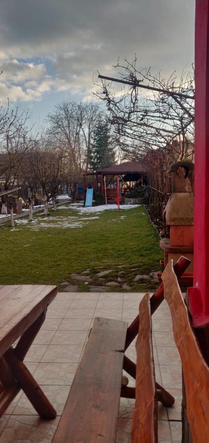 Casa Terzea Hotel Rîşnov Eksteriør billede